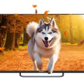 KRAFT KTV-P55 UHD03T2CIWLF/Smart TV